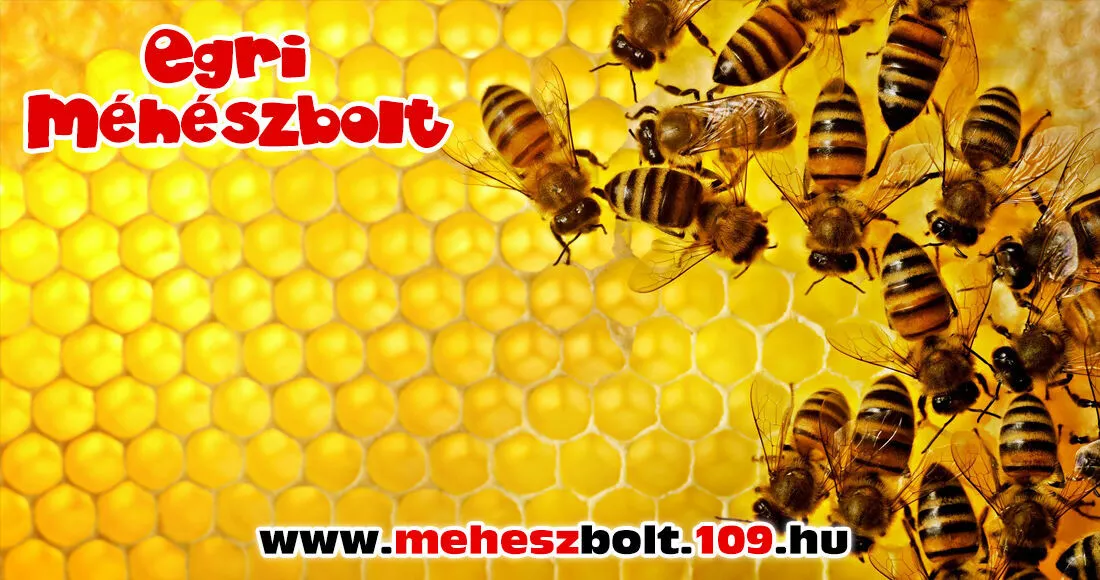 Méhészbolt, méhészeti termékek, méhészkedés, méhészeti termék, méhészeti eszközök, méz csomagolás, mézpergető, rostaszövet, keretléc, termelői méz, pörgető, anyarács, méz termelés, méhészruha, műlép, fedelező, sonkoly, dadant, virág